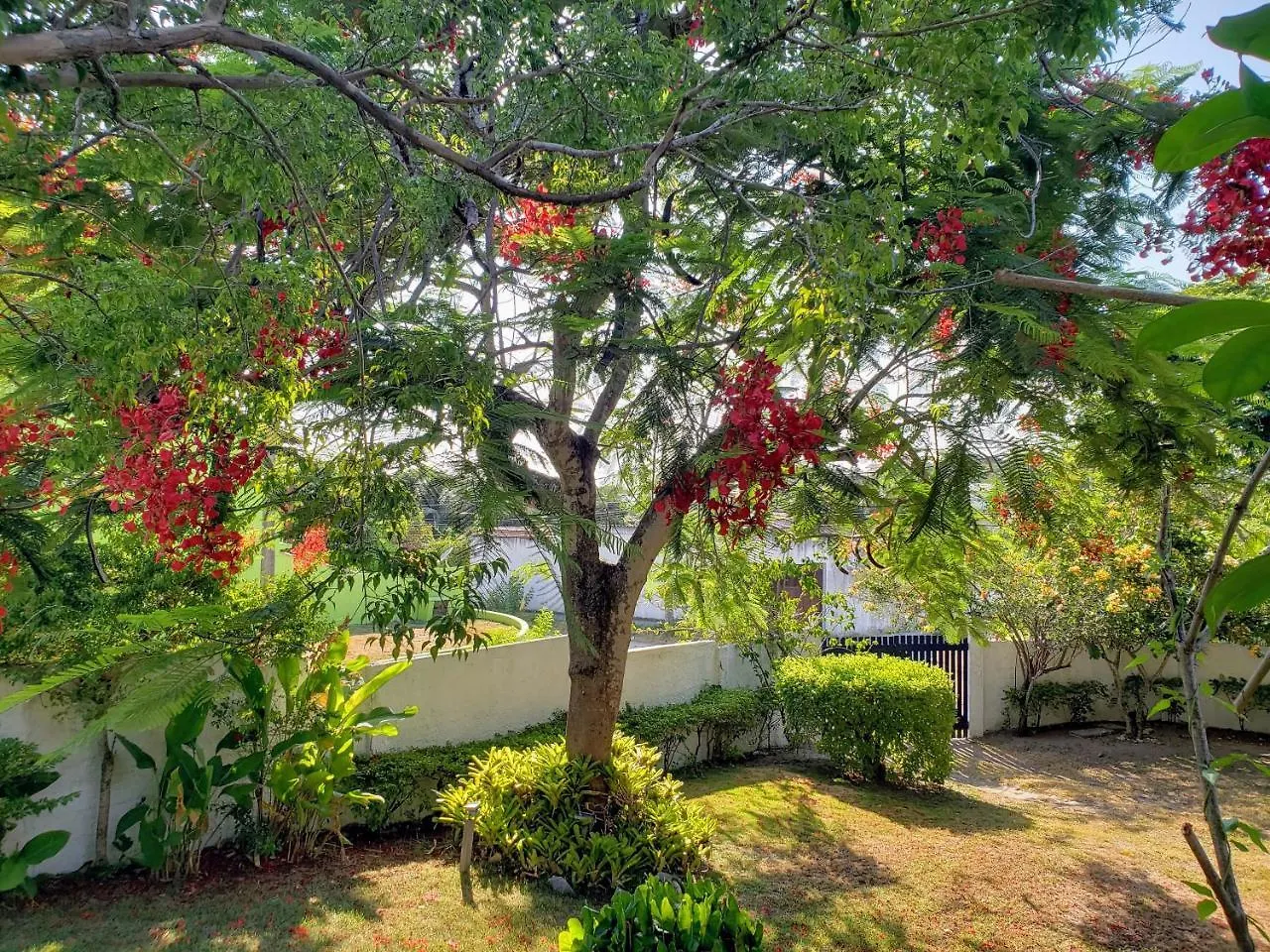 Casa Região dos Lagos - São Pedro Da Aldeia 0*,